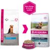 Eukanuba 2x2kg Yorkshire Terri&#xEB, r Breed Specific Hondenvoer online kopen
