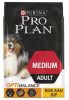 Pro Plan Purina Medium Adult Everyday Nutrition met kip hondenvoer 14 + 2, 5 kg online kopen