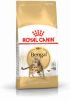 Royal Canin Breed 2x10kg Bengal Adult Kattenvoer online kopen