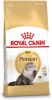 15% korting! Royal Canin Kattenvoer Persian Adult online kopen