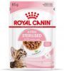 Royal Canin Kitten Sterilised jelly of gravy natvoer(85 g)4 x(12 x 85 gr)Gravy online kopen