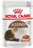 Royal Canin Ageing 12+ nat kattenvoer 12 zakjes 1x Saus + 1x Gelei(24x85 gr ) online kopen