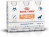 Royal Canin Veterinary Diet Gastro Intestinal Low Fat Liquid Hondenvoer 3x 200 ml online kopen