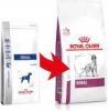 Royal Canin Veterinary Diet Dog Renal Hondenvoer 14 kg online kopen
