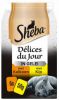 Sheba Delices Du Jour In Gelei Multipack Pouch 6 x 50 g Kattenvoer Kalkoen&Kip&Gelei online kopen