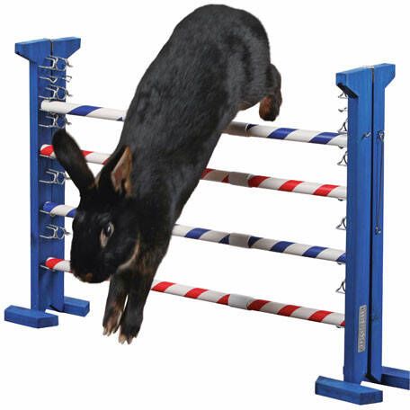 Kerbl Knaagdierenspel springen/behendigheid combo 7 92 cm online kopen