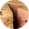 Renske Kat Vers Vlees Maaltijd 100 g Kattenvoer Kip Mousse online kopen