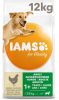 Iams for Vitality Adult Large Kip hondenvoer 12 + 3 kg gratis online kopen