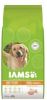 Iams for Vitality Adult Light in Fat hondenvoer 12 + 3 kg gratis online kopen