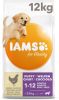 Iams 2x12kg for Vitality Dog Puppy & Junior Large Kip Hondenvoer online kopen