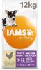 Iams 2x12kg for Vitality Dog Puppy & Junior Small/Medium Kip Hondenvoer online kopen