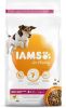 Iams 2x12kg for Vitality Dog Senior & Mature Small Medium Kip Hondenvoer online kopen