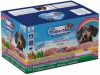 Renske Variatiebox Kate vers gestoomd hondenvoer(12 x 395 g)2 trays(24 x 395 gr ) online kopen