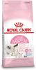 Royal Canin Kattenvoer Mother & Babycat Pakket Droogvoer, Baby Cat Milk & Natvoer online kopen