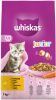 Whiskas 24 kg + 4 kg gratis! Junior Kip Junior Huhn online kopen