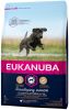 Eukanuba 15% korting! Caring Senior Large Breed Kip Hondenvoer Junior Large Breed Kip 15 kg online kopen