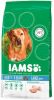 Iams for Vitality Adult Large Kip hondenvoer 12 + 3 kg gratis online kopen