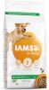 Iams for Vitality Adult Large Lam hondenvoer 12 + 3 kg gratis online kopen