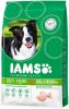 Iams for Vitality Adult Small & Medium Kip hondenvoer 12 + 3 kg gratis online kopen