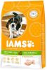 Iams 2x12kg for Vitality Dog Puppy & Junior Small/Medium Kip Hondenvoer online kopen