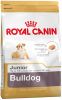 Royal Canin Breed 2x12kg Bulldog Puppy Hondenvoer online kopen