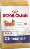 Royal Canin Chihuahua Adult Hondenvoer 500 g online kopen