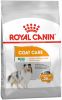 Royal Canin Coat Care Mini Hondenvoer 8 kg online kopen