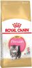 Royal Canin Persian Kitten Kattenvoer Dubbelpak 2 x 4 kg online kopen