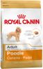 Royal Canin Breed 2x7, 5kg Poodle Adult Hondenvoer online kopen