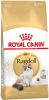Royal Canin Ragdoll Adult Kattenvoer 10 kg online kopen