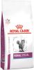 Royal Canin Veterinary Gemengd pakket Kattenvoer Satiety Support Weight Management(3, 5 kg + 12 x 85 g ) online kopen