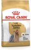 Royal Canin Breed 2x3kg Yorkshire Terrier Adult 8+ Hondenvoer online kopen