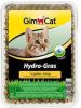 Gimcat 3x150g Hydro Gras Gimpet Kattenspeciaalvoer online kopen