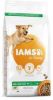 Iams for Vitality Adult Large Lam hondenvoer 12 + 3 kg gratis online kopen