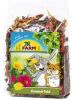 JR Farm Ruwe Knaagdiersnack Zomerveld 100 gram online kopen