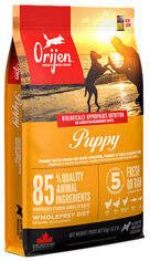 Orijen Whole Prey Puppy Kip&Kalkoen Hondenvoer 11.4 kg online kopen