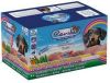 Renske Variatiebox Kate vers gestoomd hondenvoer(12 x 395 g)2 trays(24 x 395 gr ) online kopen