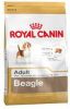 Royal Canin Beagle Adult Hondenvoer Dubbelpak 2 x 12 kg online kopen