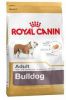 2x12kg(English)Bulldog Adult Royal Canin Hondenvoer online kopen