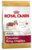 Royal Canin Breed 2x7, 5kg Cavalier King Charles Adult Hondenvoer online kopen