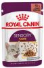 Royal Canin 36 + 12 gratis! 48 x 85 g Kattenvoer Taste in Saus Kattenvoer online kopen