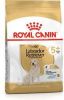 Royal Canin Breed 2x12kg Labrador Retriever Adult 5+ Hondenvoer online kopen
