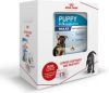 Royal Canin Maxi Start Pakket Puppy Hondenvoer Box + 4 kg online kopen
