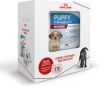 Royal Canin Medium Start Pakket Puppy Hondenvoer Box + 4 kg online kopen