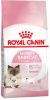 Royal Canin Kattenvoer Mother & Babycat Pakket Droogvoer, Baby Cat Milk & Natvoer online kopen