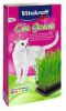 Vitakraft Cat Gras Kattensnack Natuur 120 g online kopen