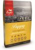 Orijen Whole Prey Puppy Kip&Kalkoen Hondenvoer 11.4 kg online kopen