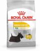 Royal Canin Dermacomfort Mini Hondenvoer 1 kg online kopen
