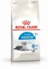 Royal Canin Indoor 7+ Kattenvoer 400 g online kopen