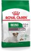 Gemengd pakket Royal Canin Mini droog & natvoer Ageing 12+(2 x 3, 5 kg)+ Ageing(12 x 85 g ) online kopen